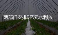 快排公司十年历程，霸屏兔 seo 的崛起与坚守
