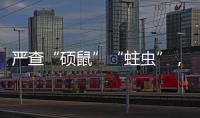 严查“硕鼠”“蛀虫”	，十起典型案例公布	！