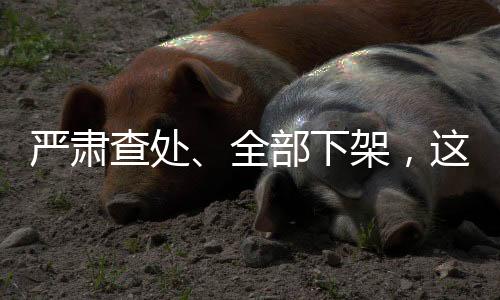 冷光烟花俗称“冷烟花”