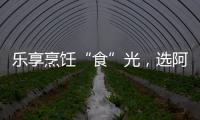 乐享烹饪“食”光	，选阿诗丹顿灶具A325B