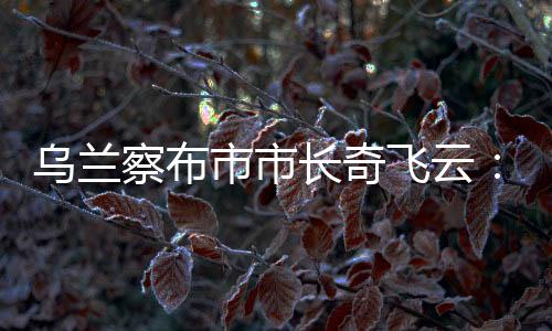 乌兰察布市市长奇飞云