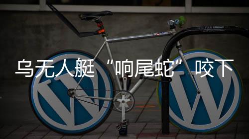 乌无吸引俄军战机靠近