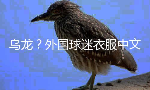 球迷北京时间7月12日