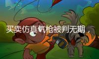 买卖仿真气枪被判无期，一位妻子的十三年诉讼路