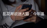 乱花渐欲迷人眼，今年温网真的冷�！