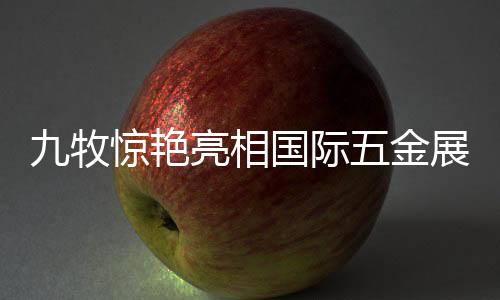 际金技风景线本届展会上