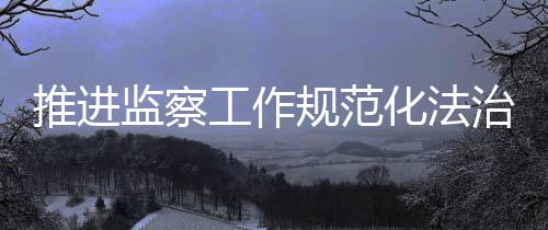 审理	、推进程序开展工作