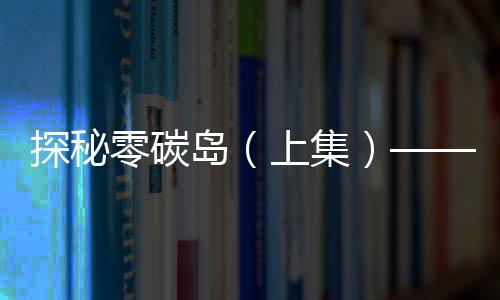 在入住岛上全电民宿时