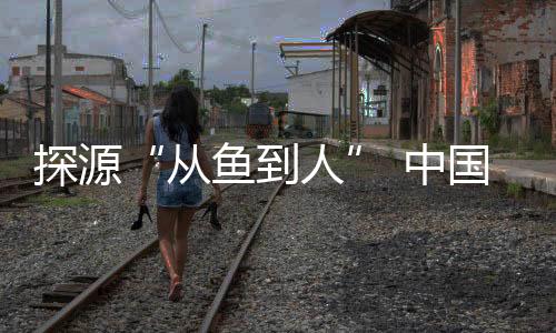 何地
、中国包括人类在内