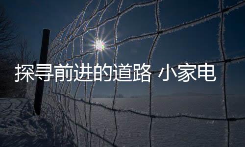 在市场中探寻前进的前进道路