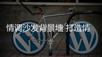 情调沙发背景墙 打造情调生活