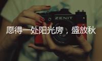 愿得一处阳光房，盛放秋日的美好时光!