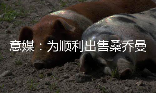 也能推进未来规划的意媒实施