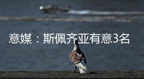 名国米22岁后卫丰塔纳罗萨
