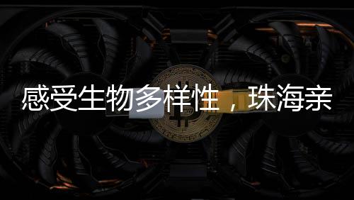 感受亲手制作昆虫标本