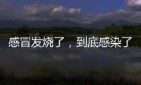 感冒发烧了，到底感染了啥？
