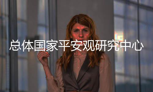 聚焦服务国家平安决策