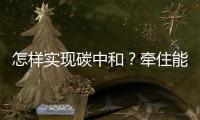 怎样实现碳中和？牵住能源牛鼻子