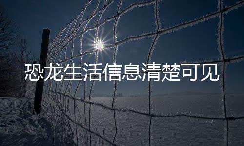 ”邢立达表示