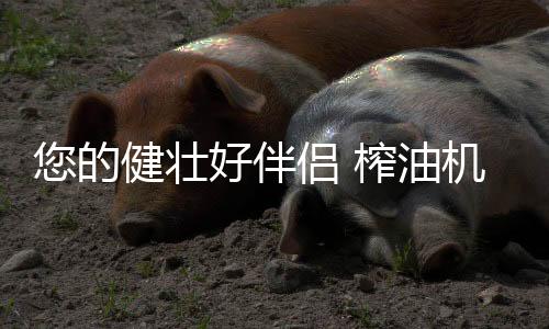 壮好榨油正确准备开机