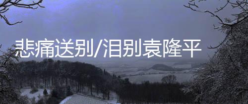 悲痛与邓则等家属握手
