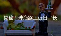 揭秘
！珠海路上近日“长”出的红色小锥锥有什么用	？