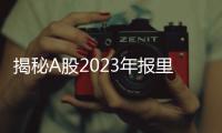 快排公司十年历程，霸屏兔 seo 的崛起与坚守