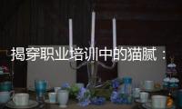 揭穿职业培训中的猫腻：靠训吃训肆意敛财