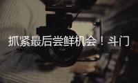 抓紧最后尝鲜机会！斗门御金球荔枝销售接近尾声