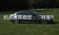 抗击香蕉癌症，“桂蕉9号”出手