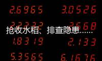 抢收水稻、排查隐患……台风登陆后 浙江各地抢险救灾进行时