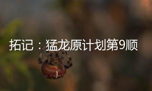 从而最终选择了博伊尔斯