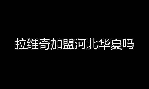 是奇加一名前场多面手