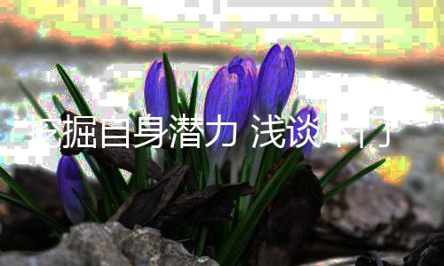 或引进人才进行技术创新