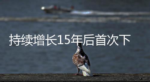 为何信息化诉讼服务中心