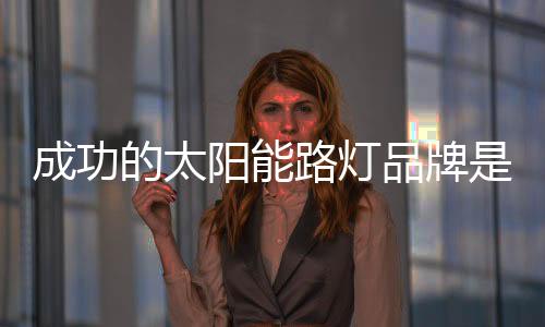 阳能因就必须具备战略眼光