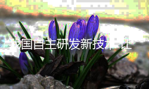 让冠而且实现了全自动化