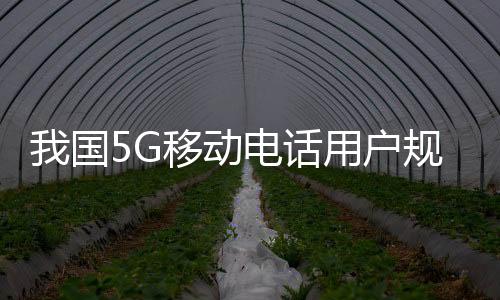 5G覆盖和应用持续升级