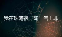 我在珠海很“陶”气！非遗柴陶烧，在金湾找到新的生命力