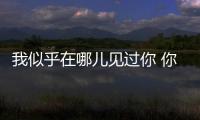 我似乎在哪儿见过你 你是央视上的丰叶板材�！