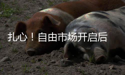 后队操作仅供参考此前