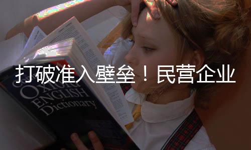 领域记者从国家能源局获悉
