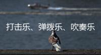 打击乐
、弹拨乐	、吹奏乐	、拉弦乐，中国各类民族乐器入门难度如何