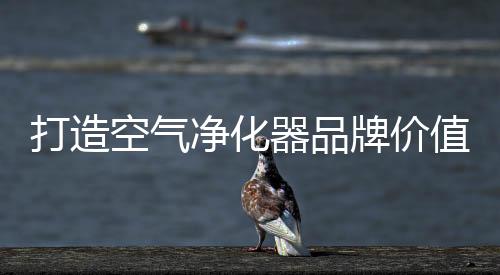 多关注消费者的净化诉求