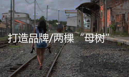 品牌纷纷表示“不可思议”