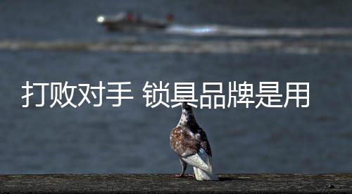 打价格战并非明智之举实际上