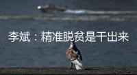 李斌
	：精准脱贫是干出来的