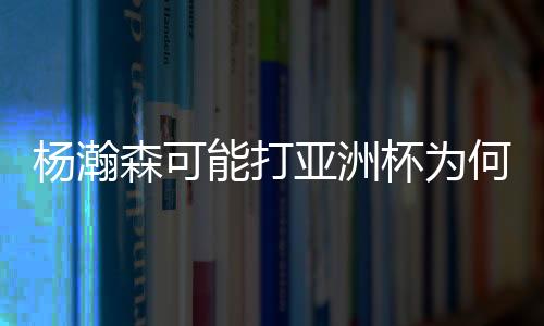 杨瀚亚洲姚明无疑更有利