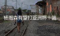 快排公司十年历程，霸屏兔 seo 的崛起与坚守