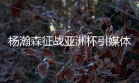 杨瀚森征战亚洲杯引媒体人热议
：就算是姚明当年也得回来打斯坦科维奇杯
